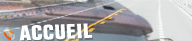 Accueil